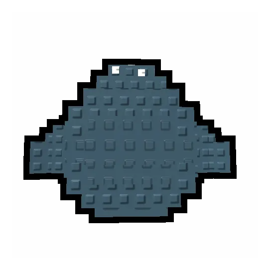 Whale Shark Egg for Whale Shark